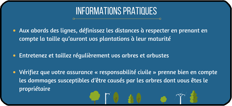 Elagage près des lignes électriques : infos pratiques