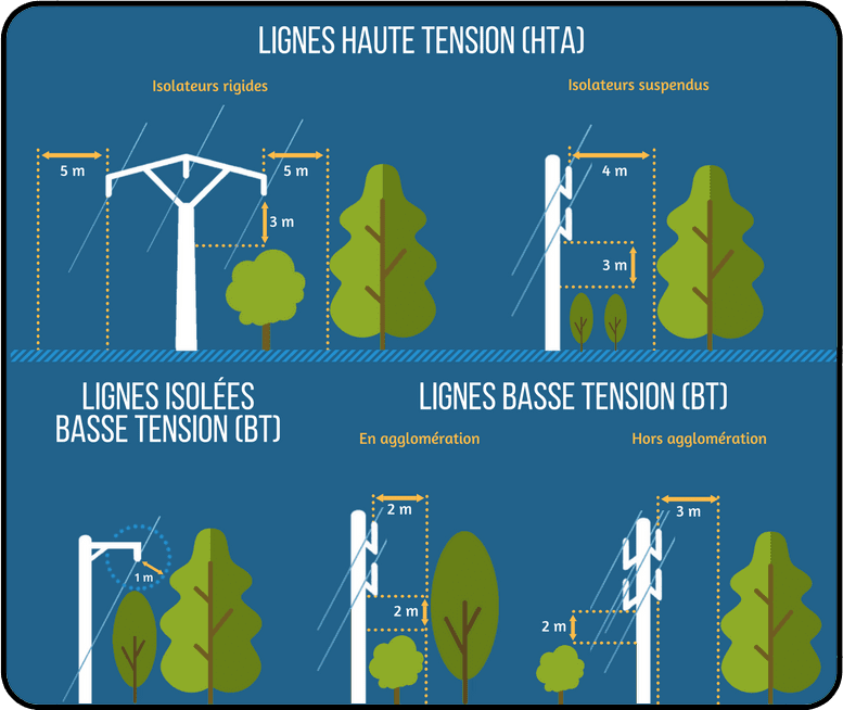 Elagage près des lignes électriques