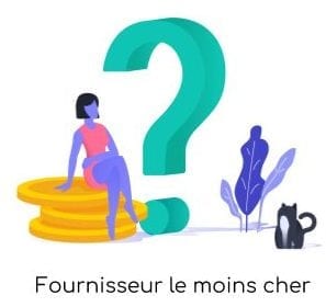 Fournisseur le moins cher