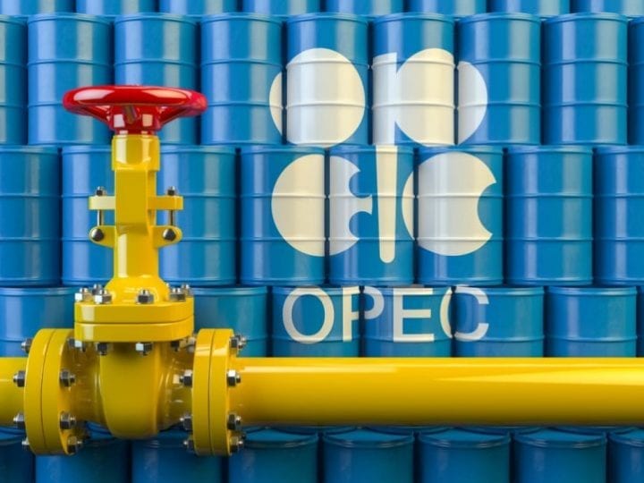 Existe-t-il encore un avenir pour l’OPEP ?