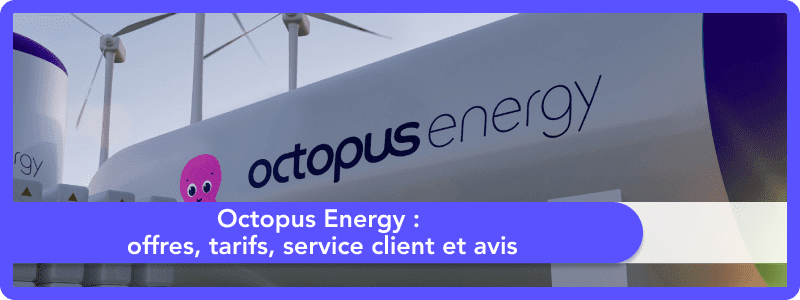 Octopus energy prix kWh