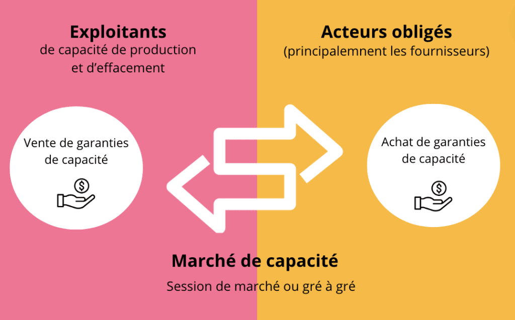 Dynamique d'échanges sur le marché de capacité