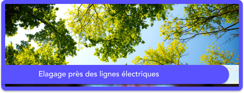 Elagage près des lignes électriques