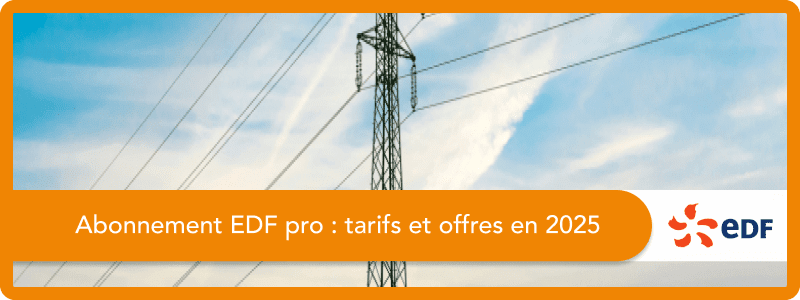 EDF abonnement pro 2025