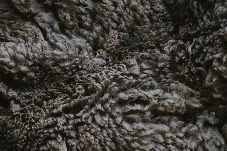 Clair de laine, spécialiste de la couette en laine française
