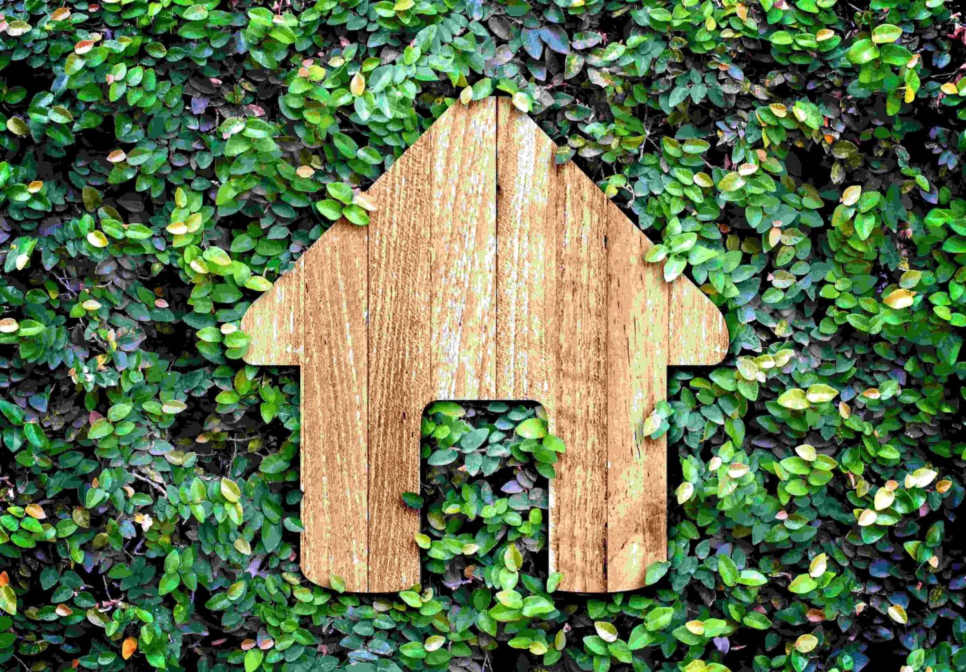 Pourquoi choisir une maison ossature bois ?