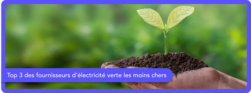 Top 3 des fournisseurs d'électricité verte les moins chers. Top 3 des fournisseurs d'électricité verte les moins chers.