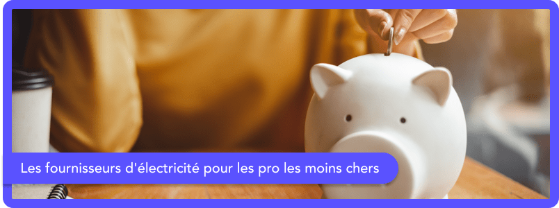 Les fournisseurs d'électricité pour les pro les moins chers Les fournisseurs d'électricité pour les pro les moins chers