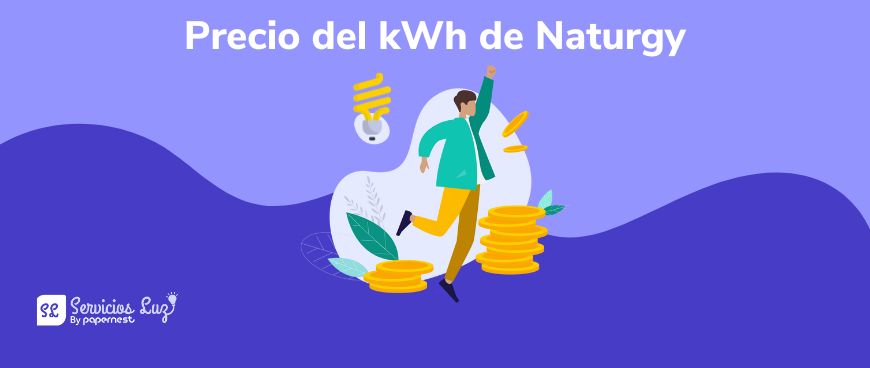 Precio kWh Naturgy