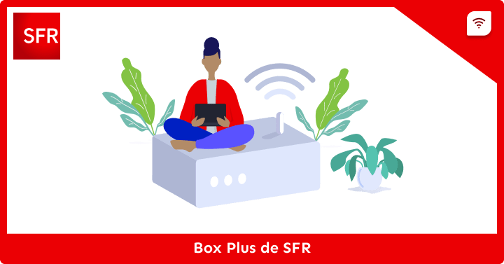 Box Plus SFR