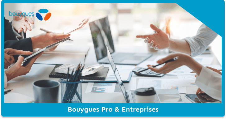 Bouygues Pro et Bouygues Entreprises