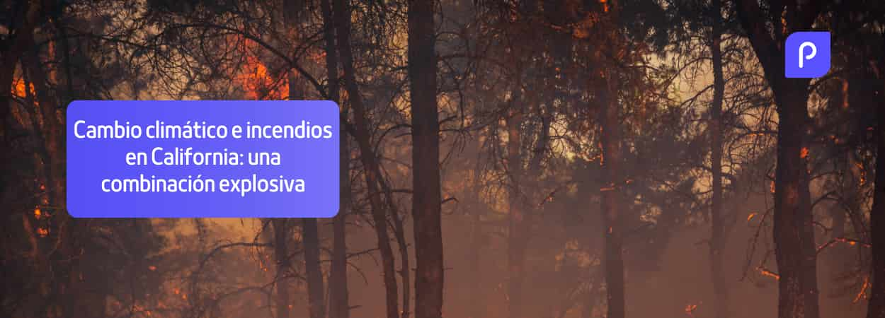 Cambio climático e incendios en California: una combinación explosiva