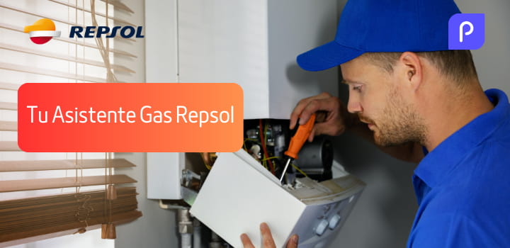 Tu Asistente Gas Repsol