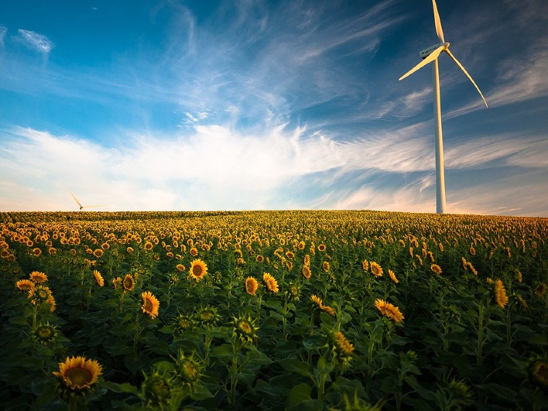 Wind Power in the UK