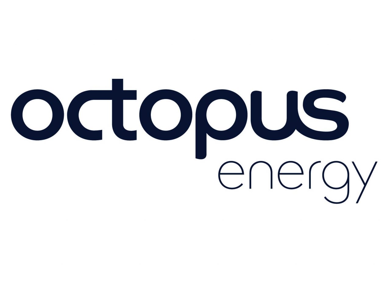 Octopus Energy in 2021: How good is this energy supplier? - papernest UK