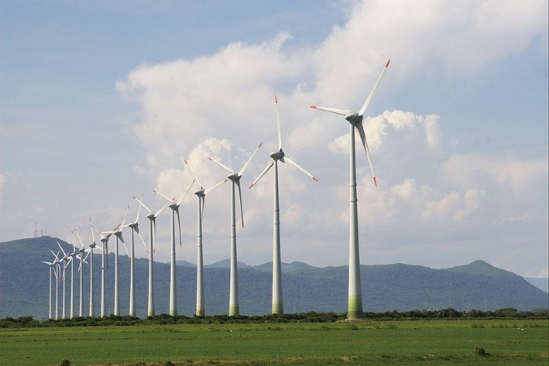 row of wind mills