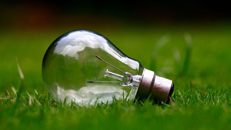 light bulb in grass