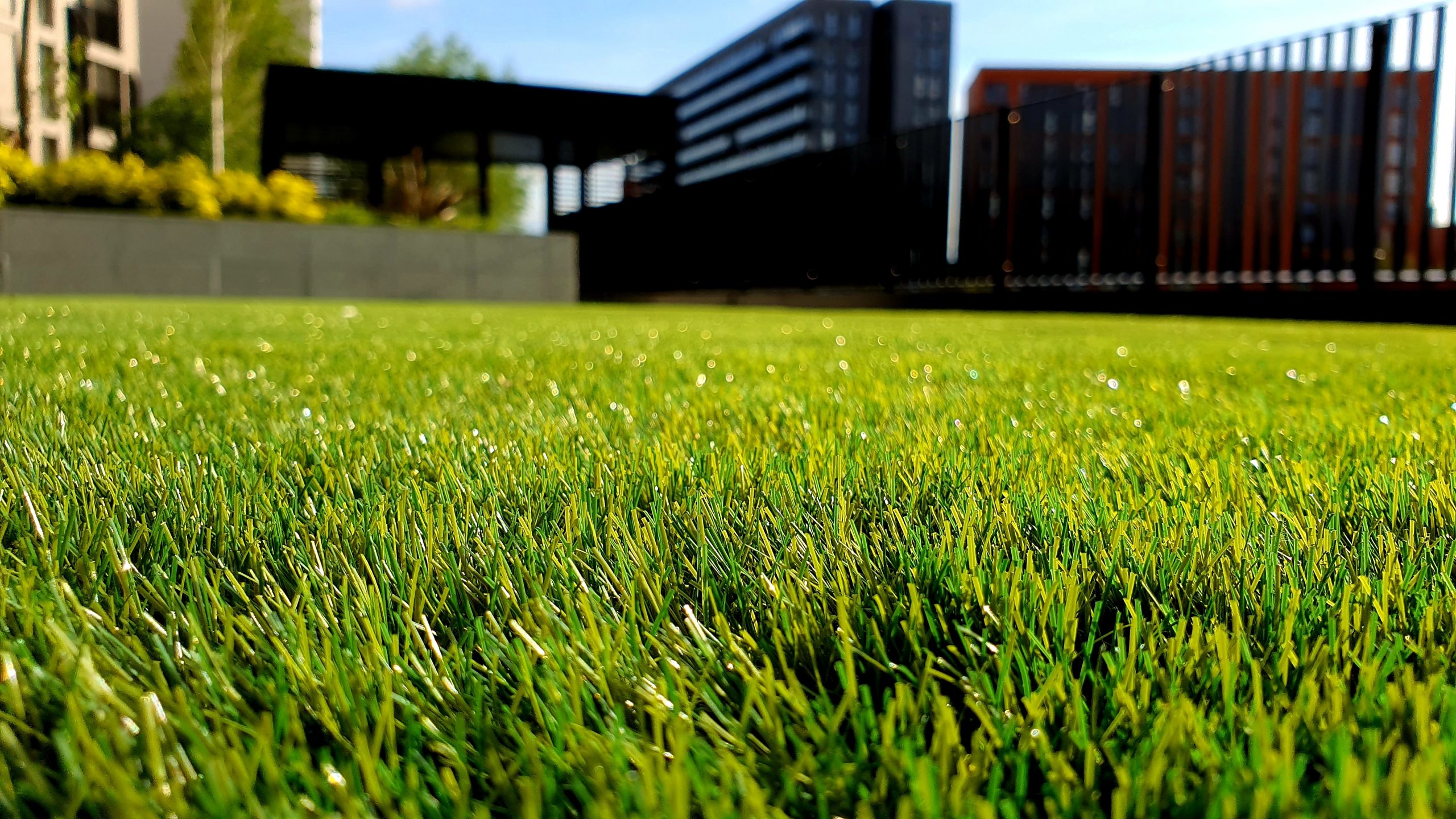 Get the lawn of your dreams for your new home