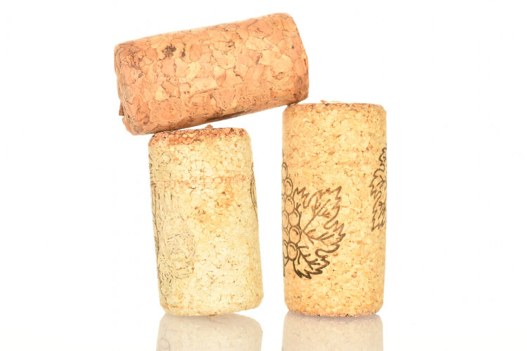 Do you know where cork comes from?