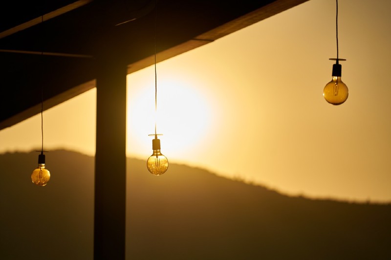 light bulbs in sunset