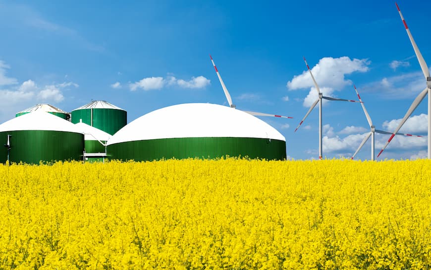 Biogasanlage im Blumenfeld