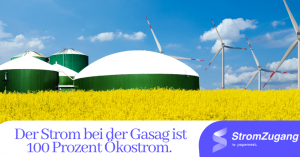 Biogas