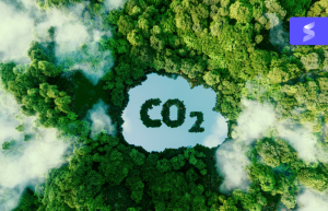 CO2 Zeichen auf Wiese
