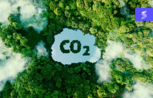 Co2 in einer Wiese