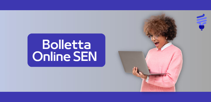 Bolletta Online Servizio Elettrico Nazionale