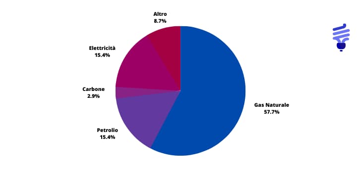 market share boiler per combustibile