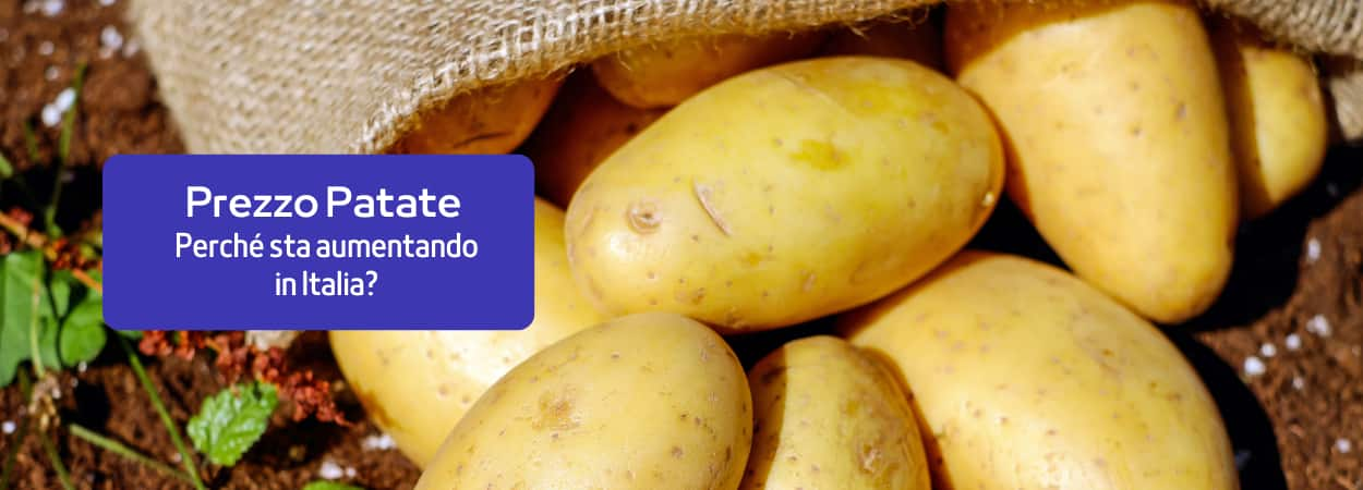 Perché il prezzo delle patate sta aumentando in Italia?