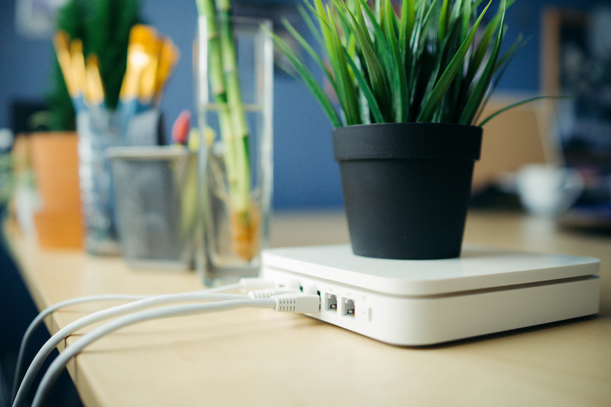 A small plant kept on top of a wifi router