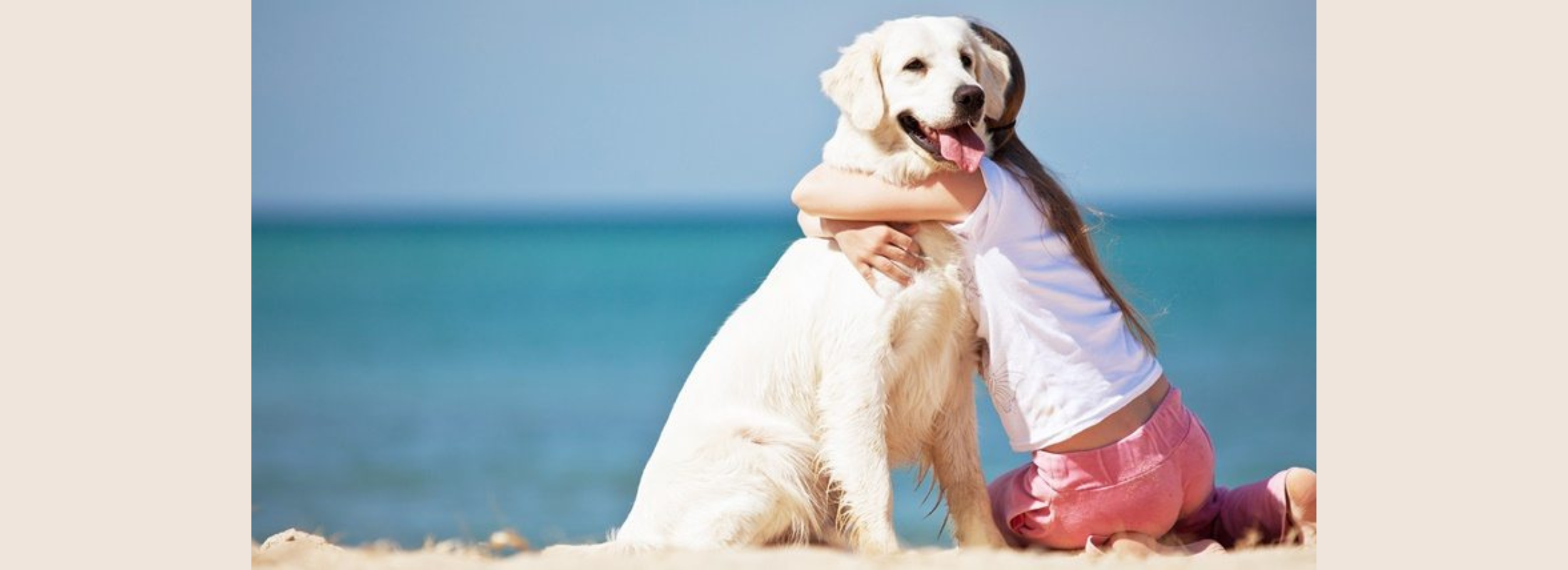 Ravenna Pet - Friendly: ecco le migliori spiagge della Romagna per portare il tuo cane