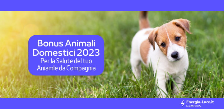 Bonus 2023 per la Salute del tuo Animale Domestico: cosa c'è da sapere!