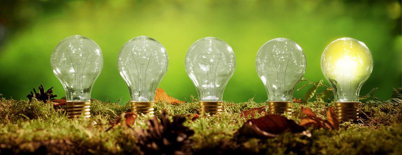 Électricité verte : comment choisir le meilleur fournisseur ?
