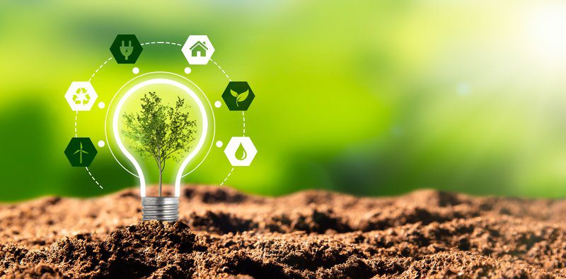 Quel fournisseur propose la meilleure énergie verte ?