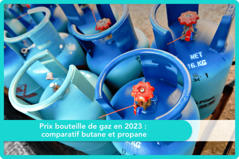 Prix bouteille de gaz en 2024 : butane ou propane