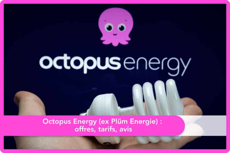 Octopus Energy (ex Plüm Energie) : offres, tarifs, avis
