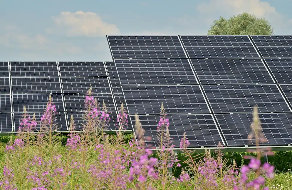 Alemania Lidera en Energía Solar Superando a Todo el Sur de Europa