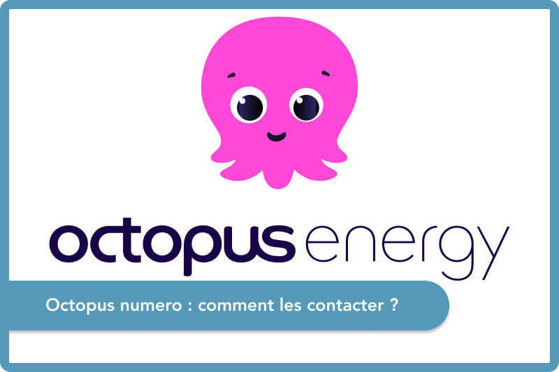 Numéro Octopus Energy
